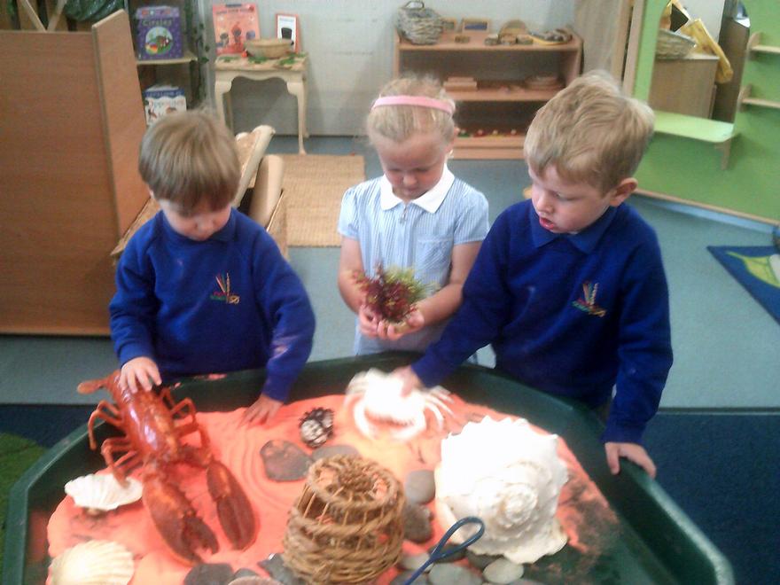 Summer 2 - Summertime Seaside/Journeys. Three children explore ocean life in a sensory bin.